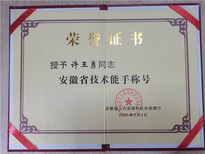 许王勇安徽技术能手.jpg