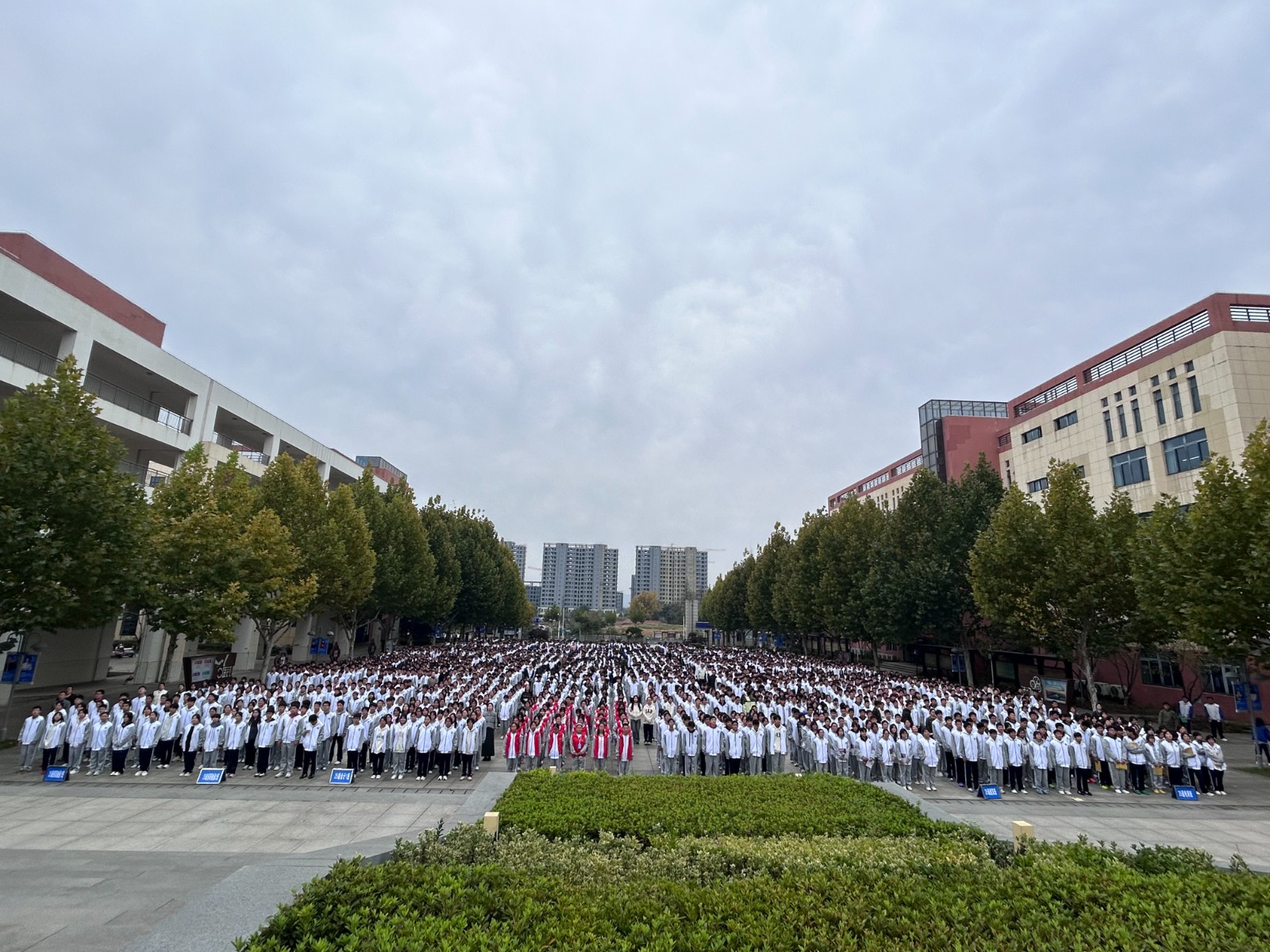 微信图片_20251104154319_55_126.jpg 微信图片_20251104154319_55_126.jpg